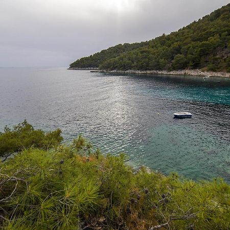 Secluded Fisherman'S Cottage Cove Skozanje, Hvar - 4009 Gdinj Exterior photo